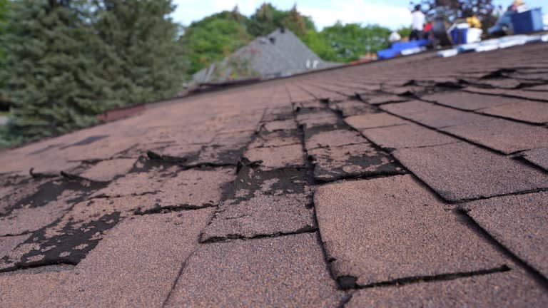 Cold Roofs in Madelia, MN